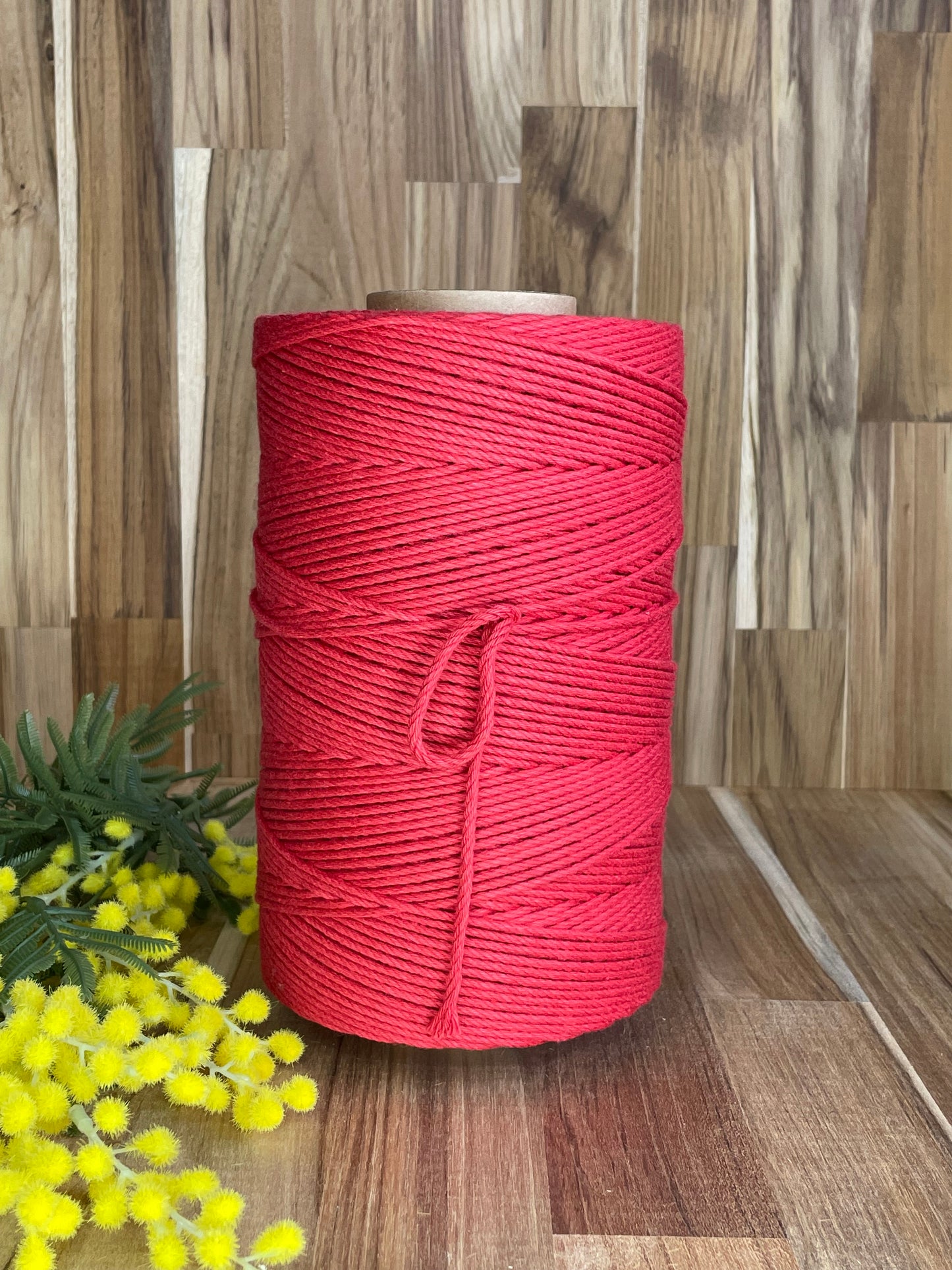 3mm Twisted Rope Red