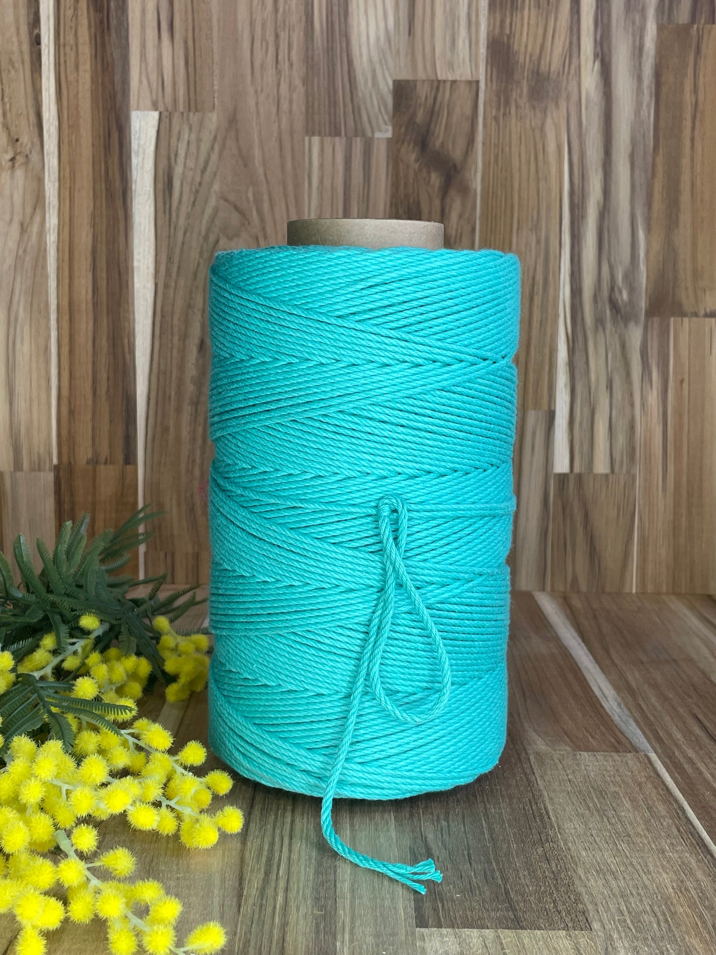 3mm Twisted Rope Turquoise