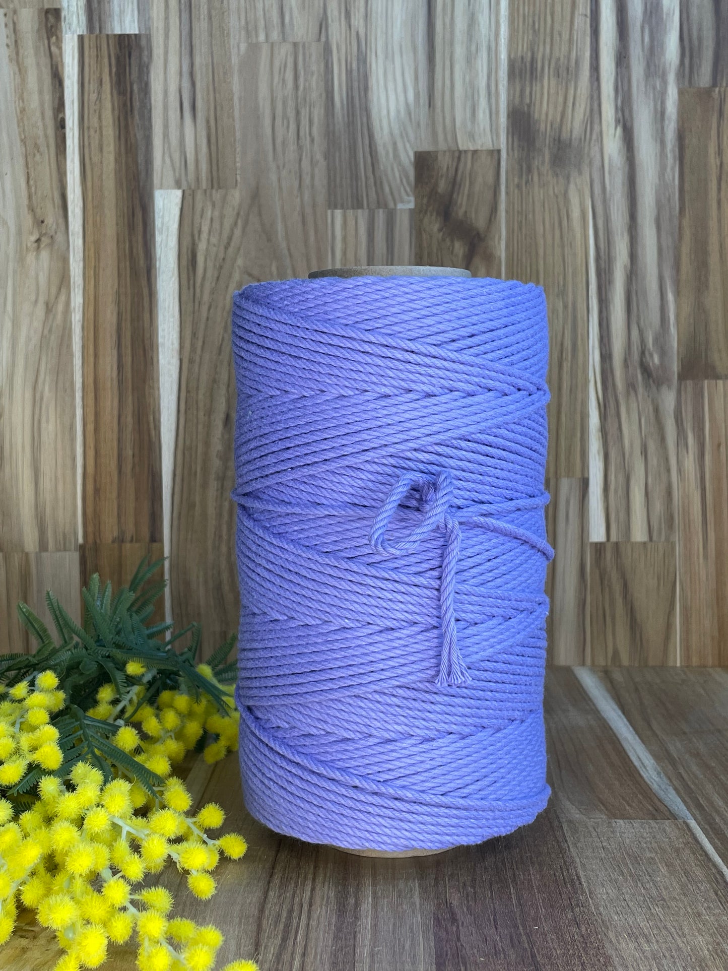 4mm Twisted Rope Purple