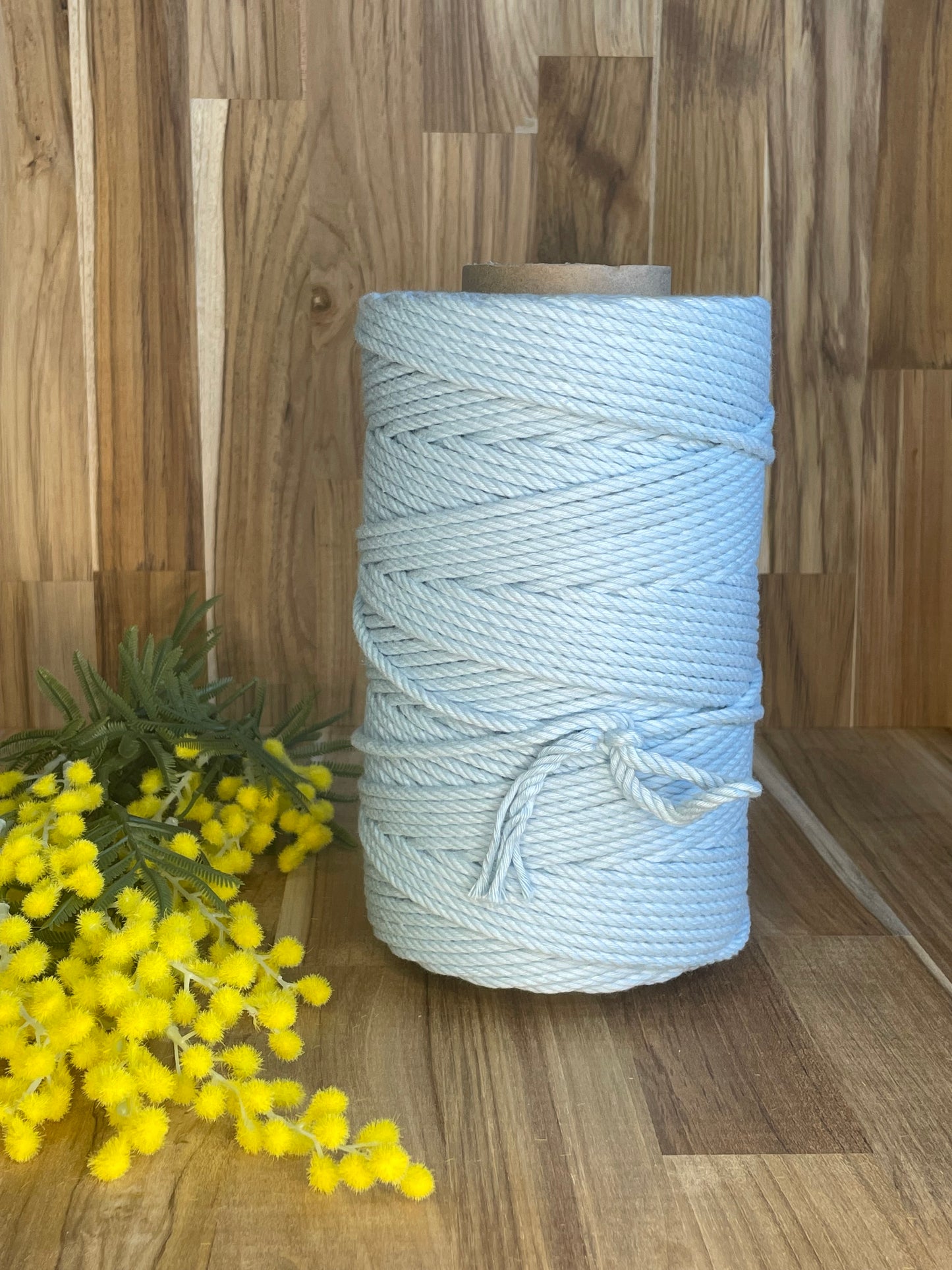 5mm Twisted Rope Pastel Blue