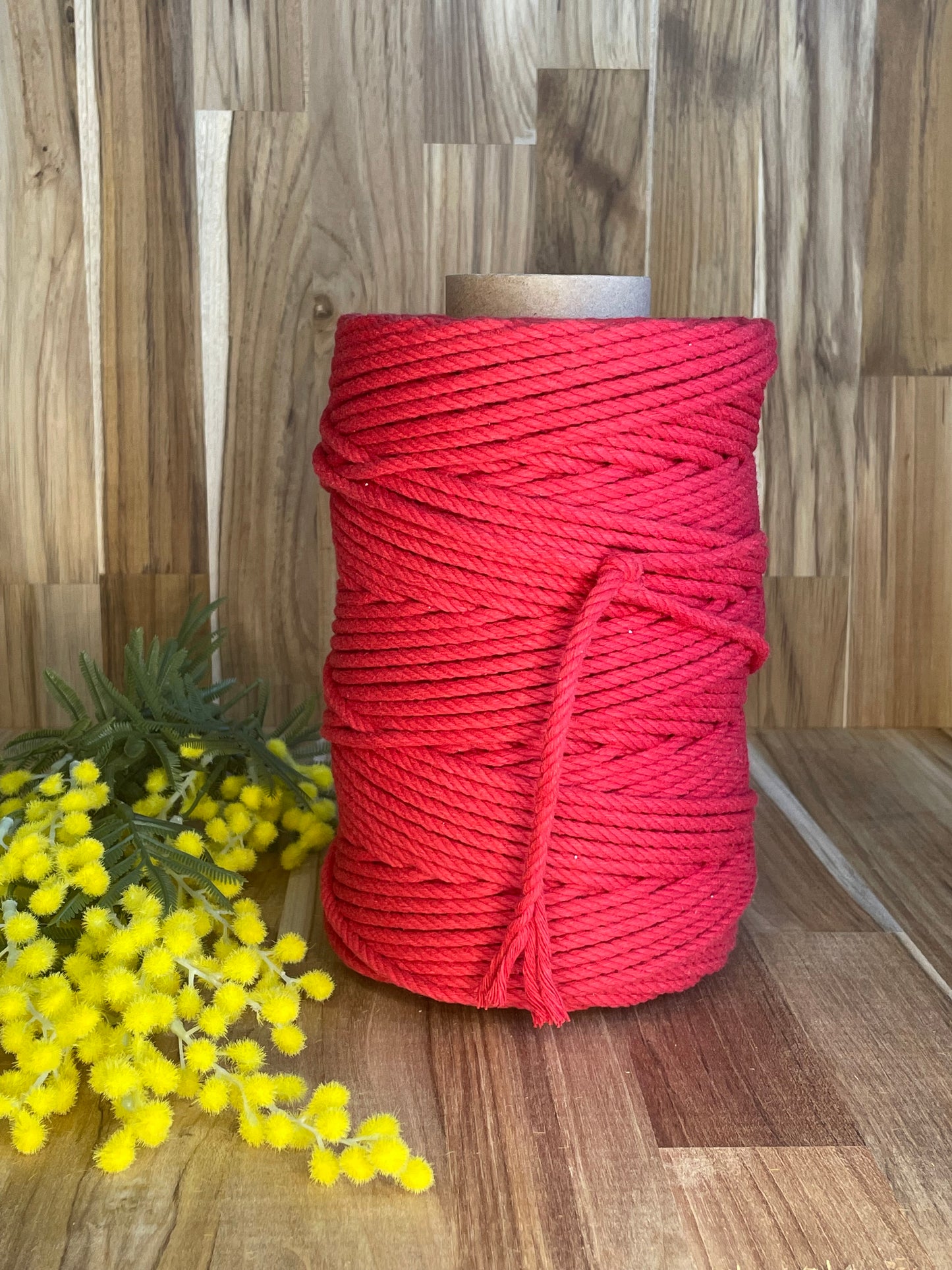 5mm Twisted Rope Red