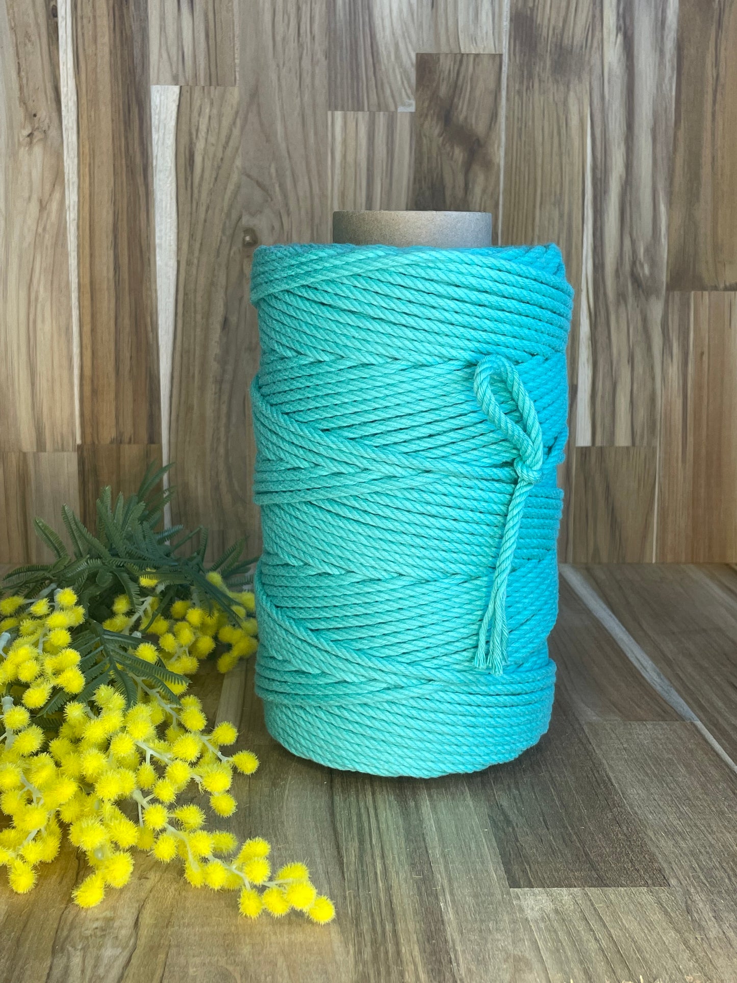 5mm Twisted Rope Turquoise